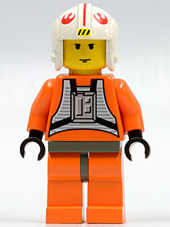 sw019