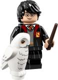71022-harry